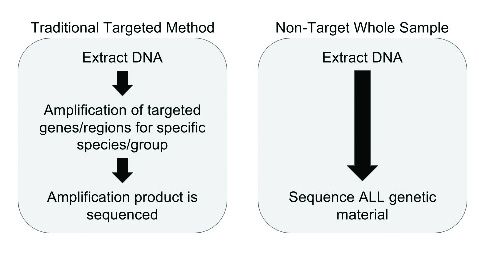 dna services image